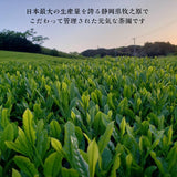 個包装ティーバッグ50包【送料無料】