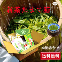 新茶たまて箱